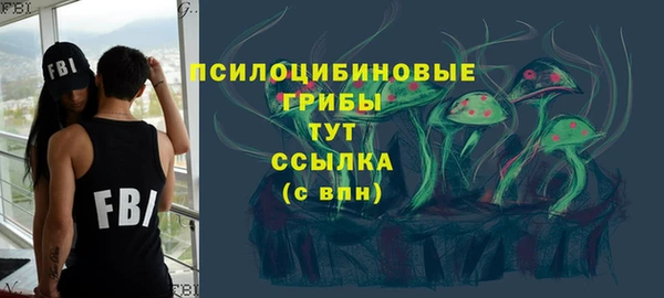 спайс Верея